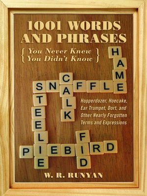 cover image of 1,001 Words You Never Knew You Didn't Know